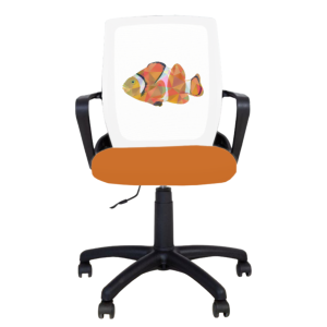 01 Fly Black Clownfish 16680