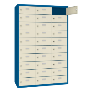 MSUS 4310---RAL 5010 Niebieski Chagall---RRAL 7032 Szary beżowy